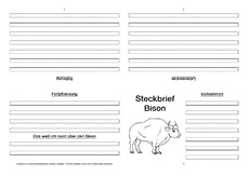 Bison-Faltbuch-vierseitig.pdf